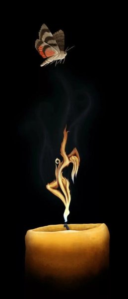Мотылек летит на огонь