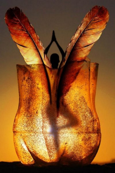 Мотылек и огонь