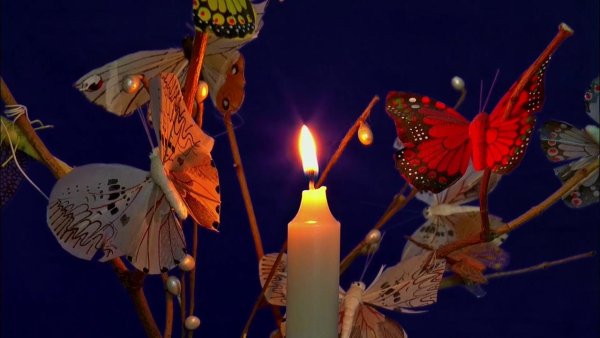 Бабочки над свечой