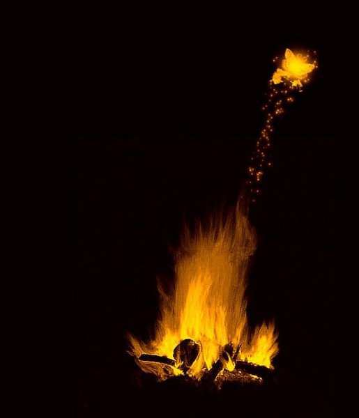 Мотылек летит на огонь