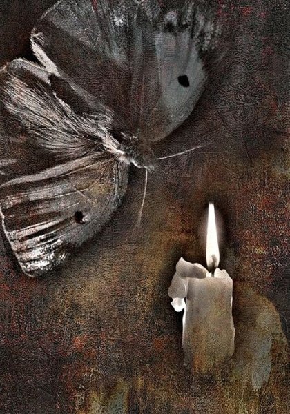 Мотылек и свеча