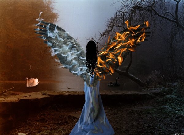 Между светом и тьмой