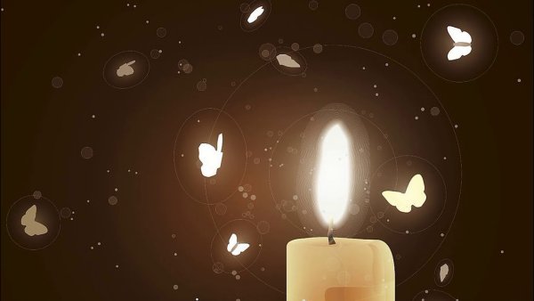 Мотыльки вокруг свечи