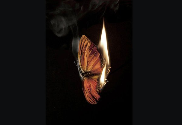Горящий мотылек