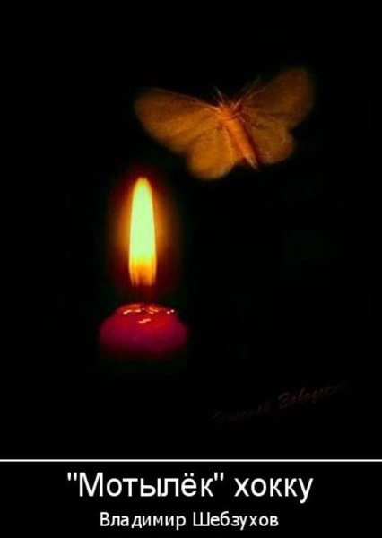 Мотылек летит на огонь