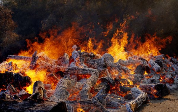 Пожар пепел