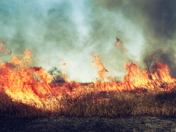 Поле горит