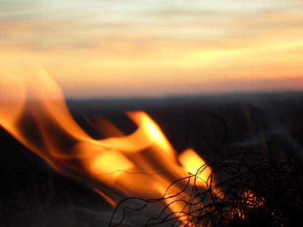 Огни в тумане