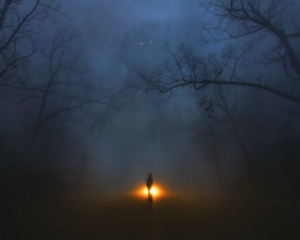 Огонек в ночи