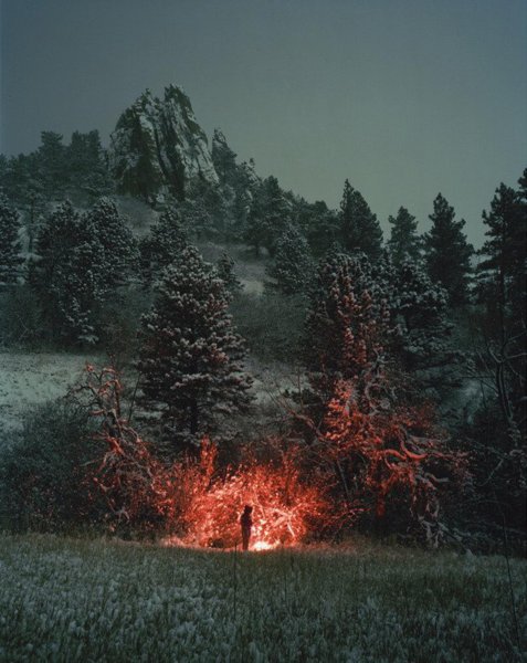 Огоньки в лесу ночью