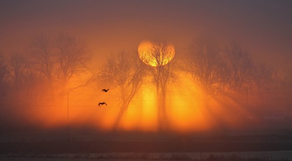 Солнце сквозь туман