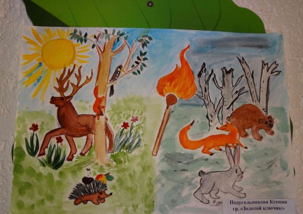 Берегите лес от пожара рисунки