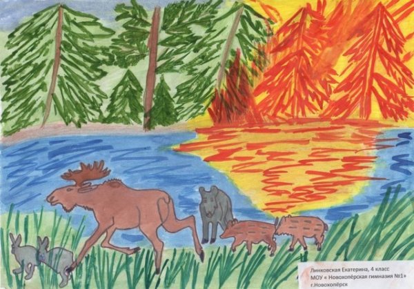 Нарисовать Лесной пожар