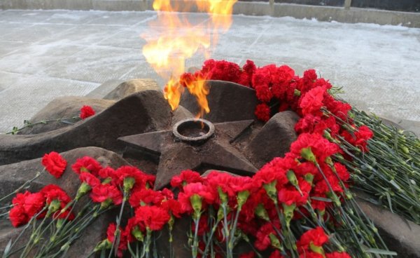 Гвоздики у вечного огня