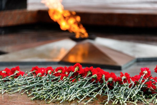 Цветы у вечного огня