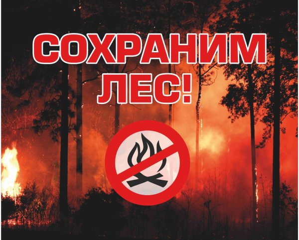 Противопожарные плакаты в лесу