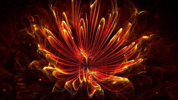 Фантастические цветы