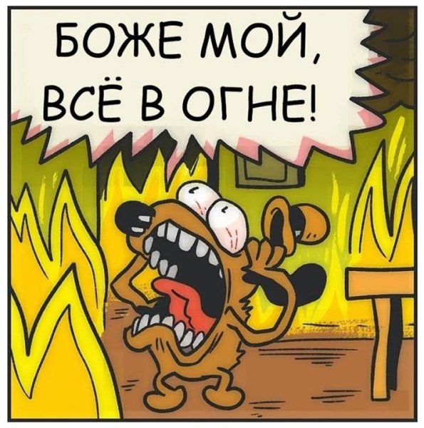 Собака в огне