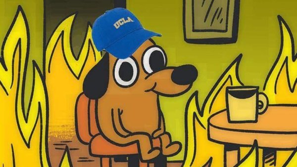 Пес в горящем доме