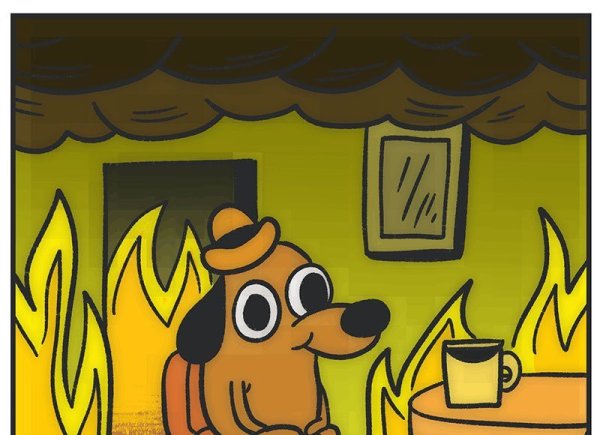 Собака в огне