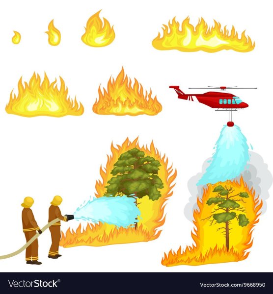 Тушить пожар в лесу иллюстрации