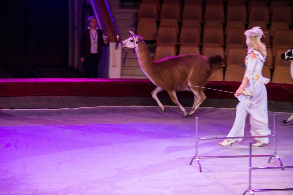 Цирк Екатеринбург