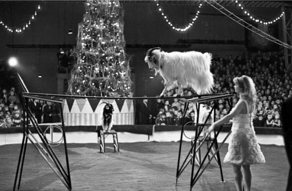 Новый год в СССР цирк