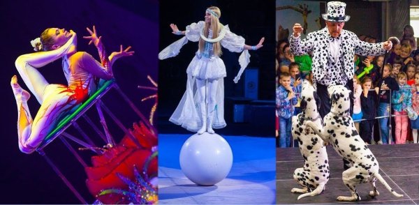 Международный день цирка