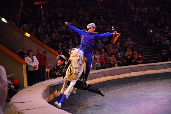 Самарский цирк зажигает огни