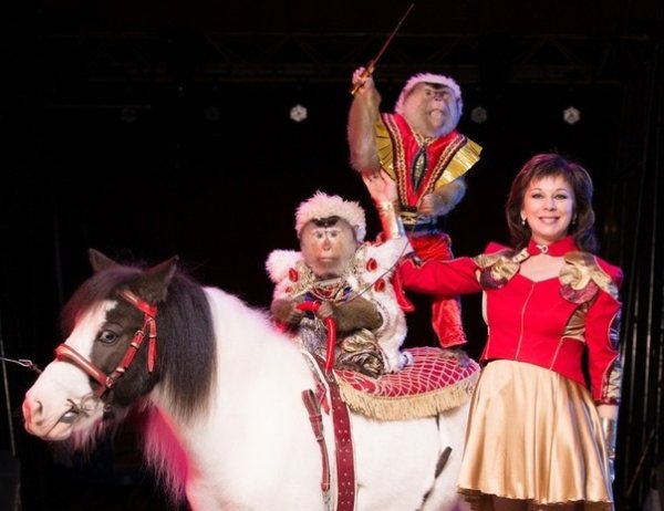 Цирк зажигает огни