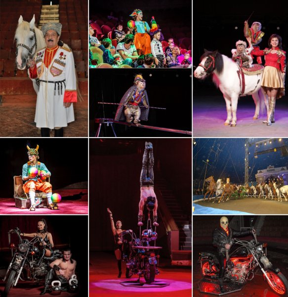 Брянский цирк представления