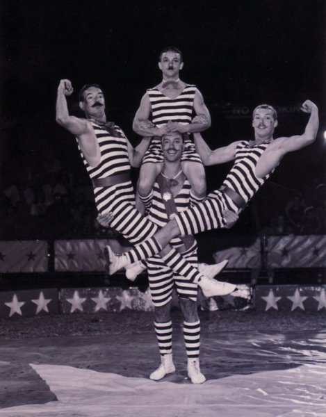 Сергей Доценко цирк