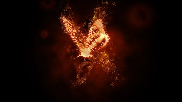 Огненная бабочка