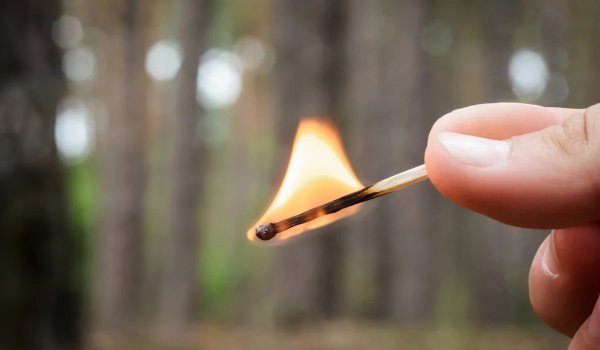 Спичка лес огонь