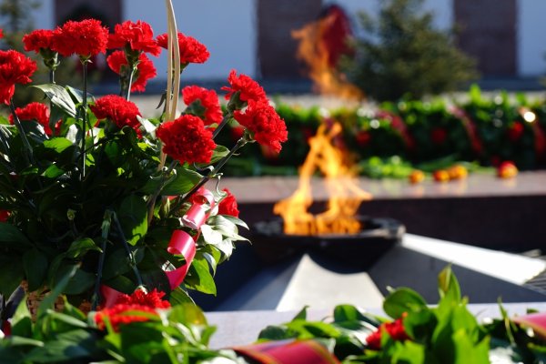 Вечный огонь гвоздики Георгиевская лента