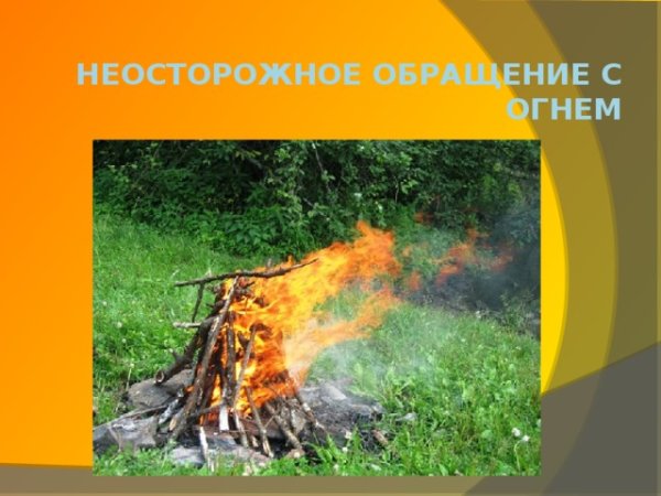 Неосторожное обращение с огнем в лесу