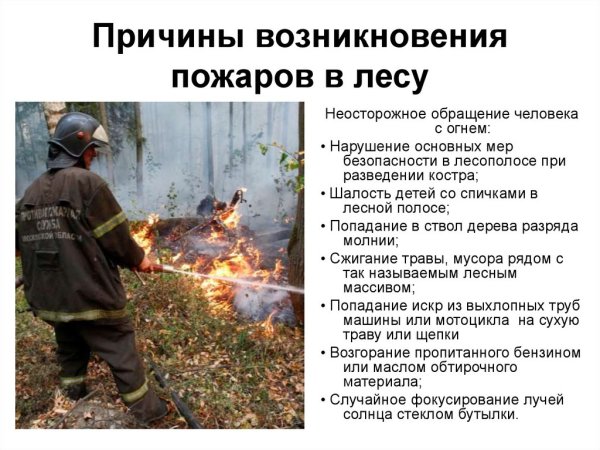 Неосторожное обращение с огнем в лесу