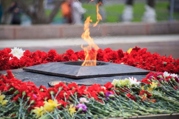 Цветы у вечного огня