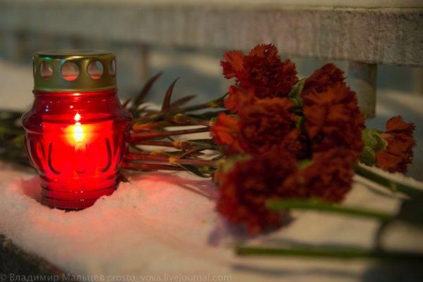 Гвоздики и поминальная свеча