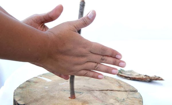 Добыча огня палкой