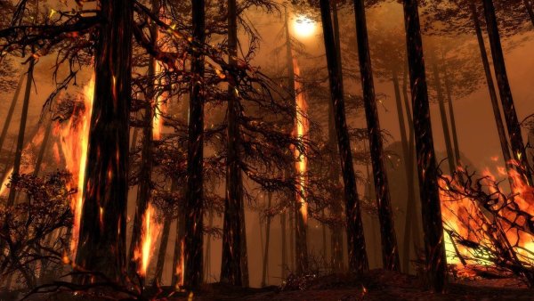 Лесной пожар HD