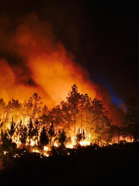 Красивый пожар