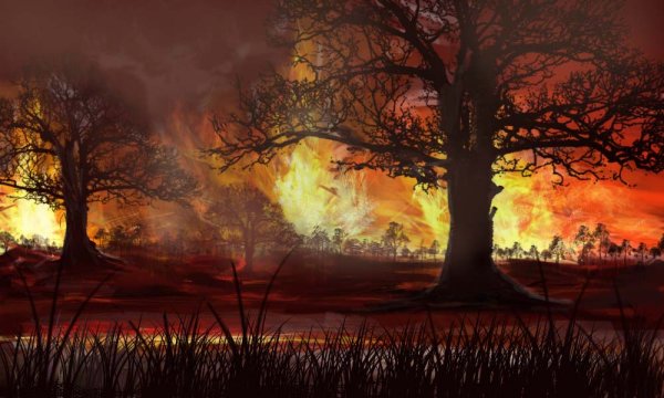 Лес в огне арт