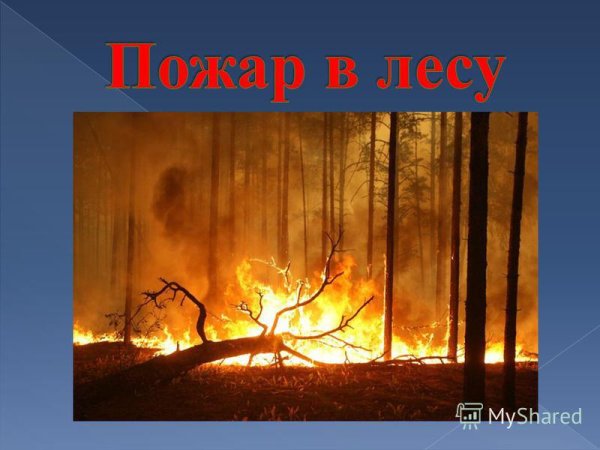 Пожар в лесу для детей презентация