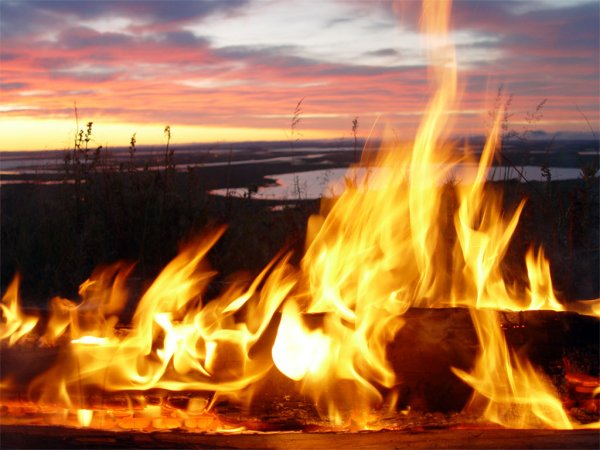 Живой костер