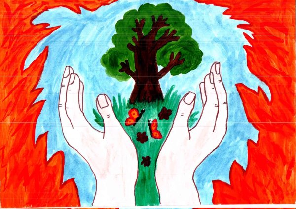 Защитим лес от пожара рисунки