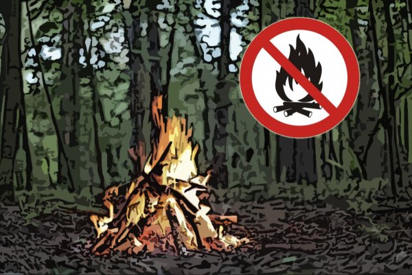 Нельзя разводить костер в лесу