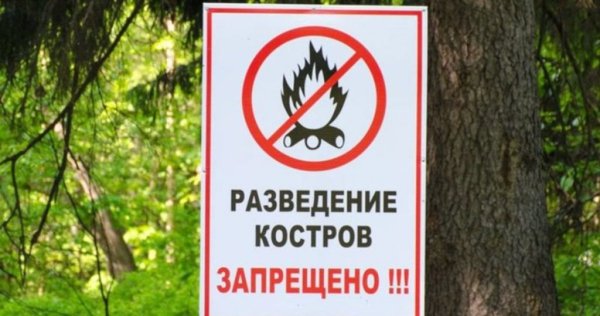 Плакаты разведение костров запрещено