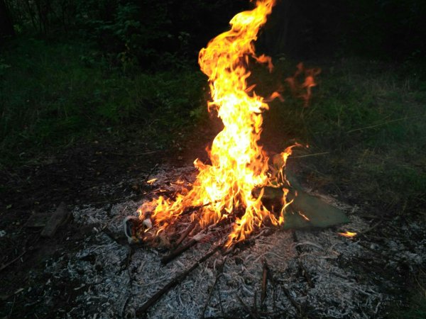 Огонь из костра