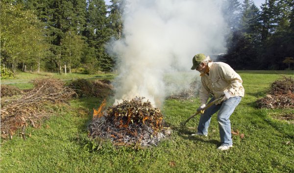 Сжигание листвы